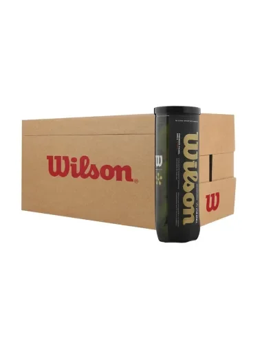 cajon-24-botes-bolas-wilson-premier-padel-speed-wilson