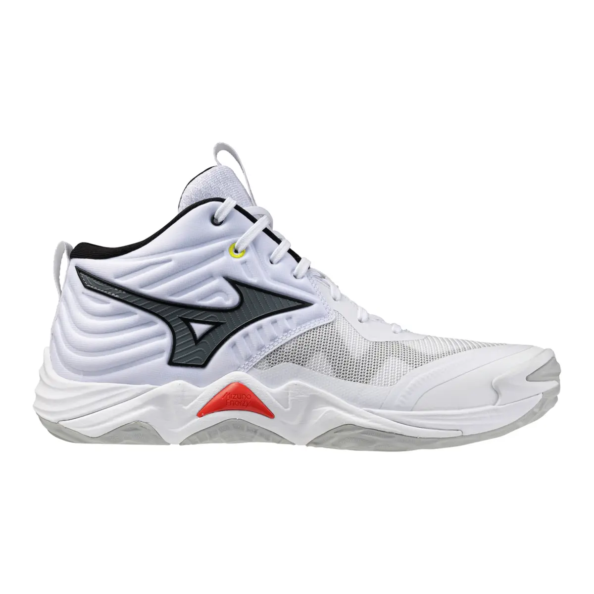 handball-store1-4610504