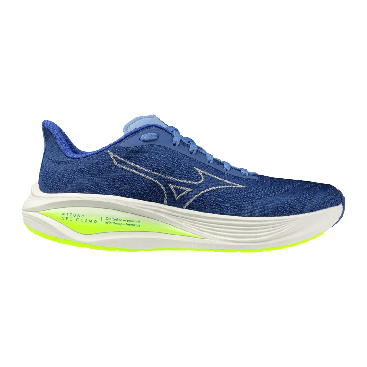 handball-store1-4646243