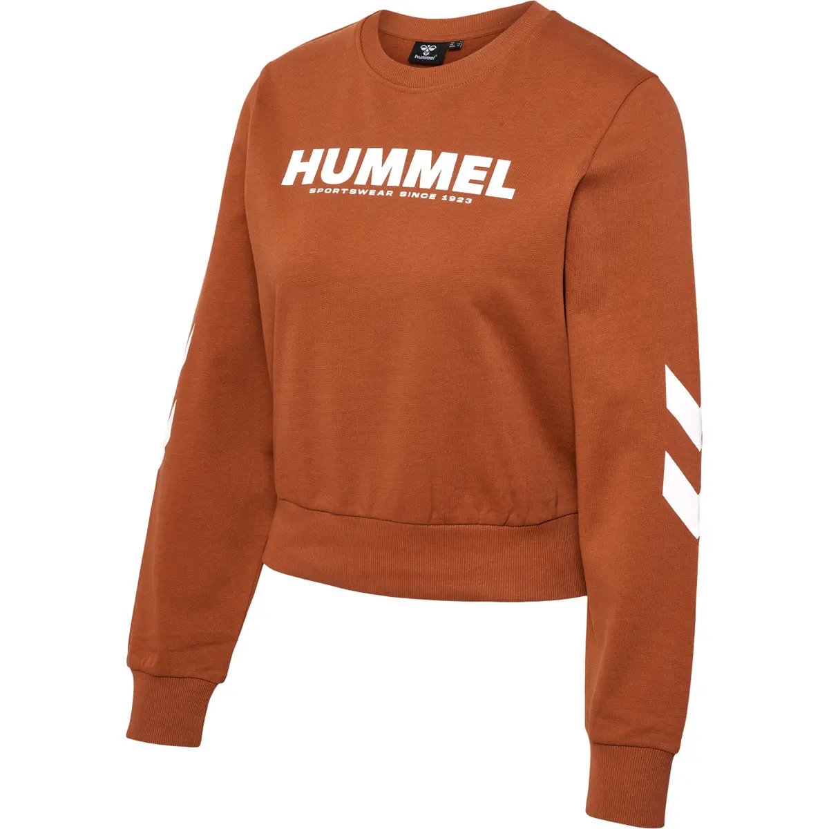 handball-store1-4688793