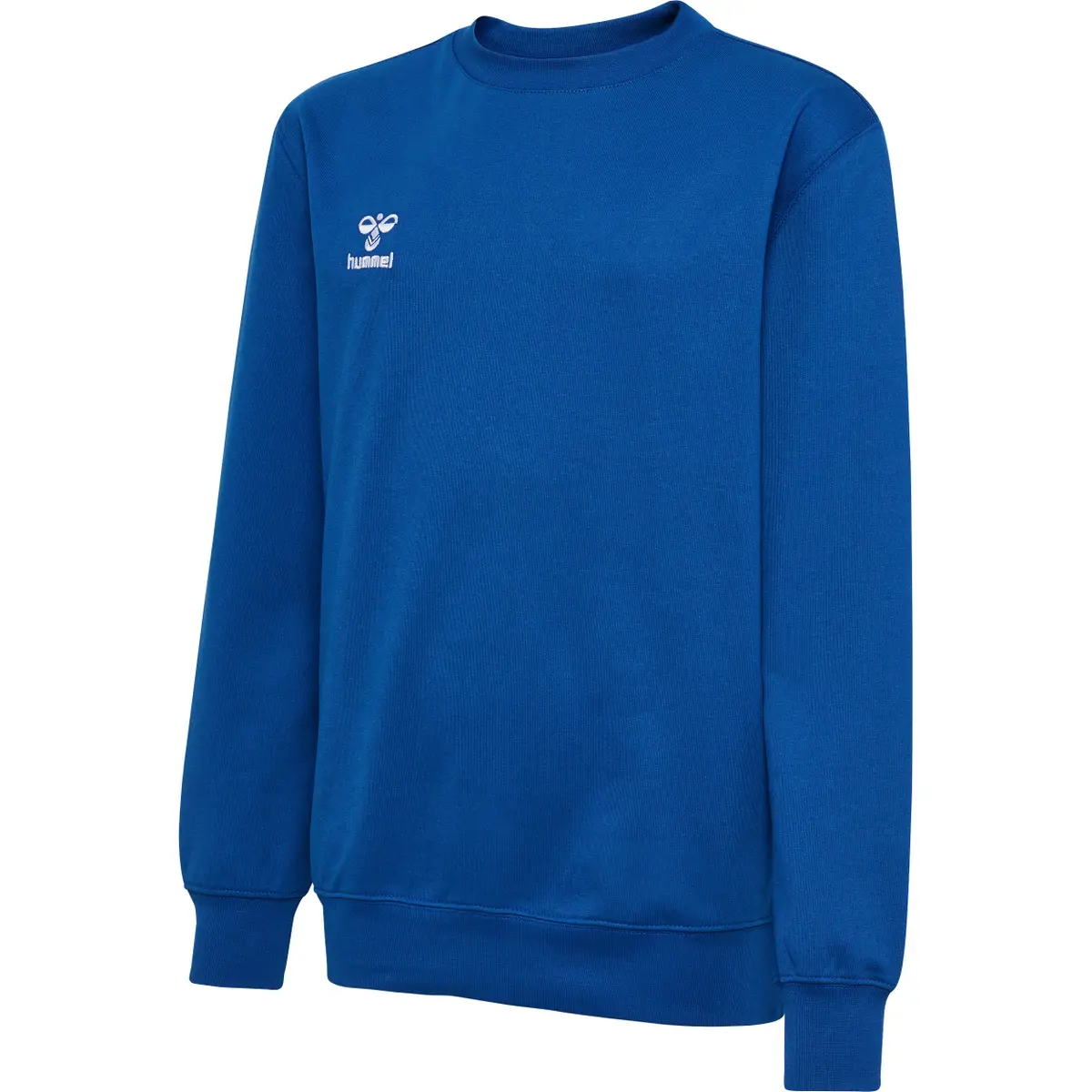 handball-store1-4691749
