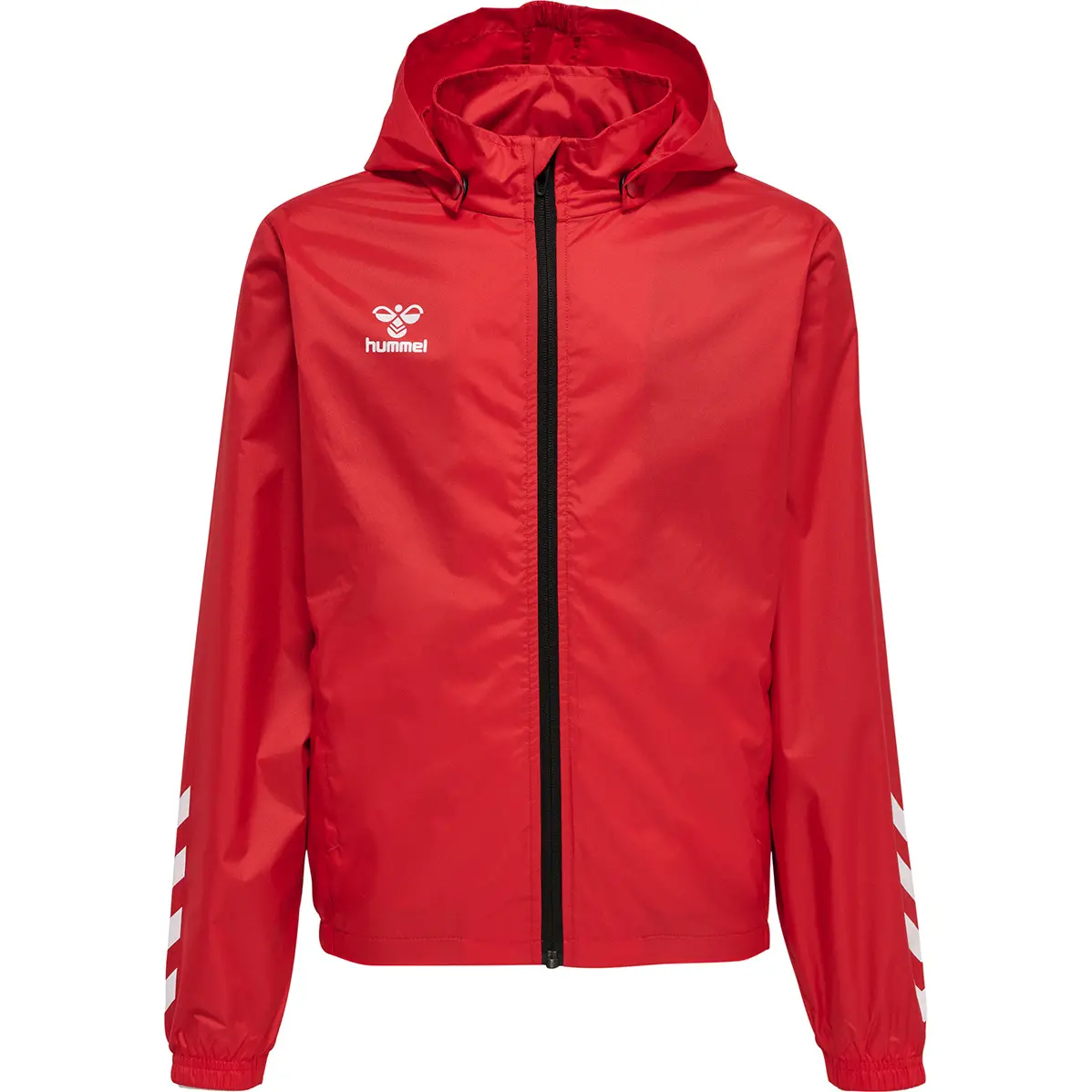 handball-store1-4694010