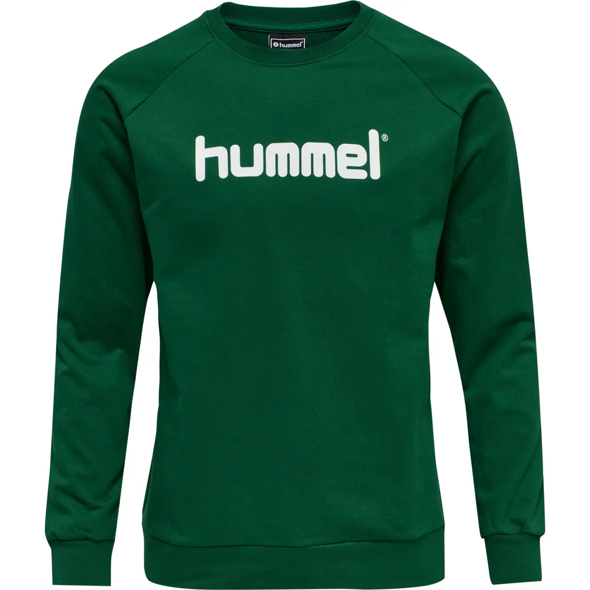 handball-store1-4694101
