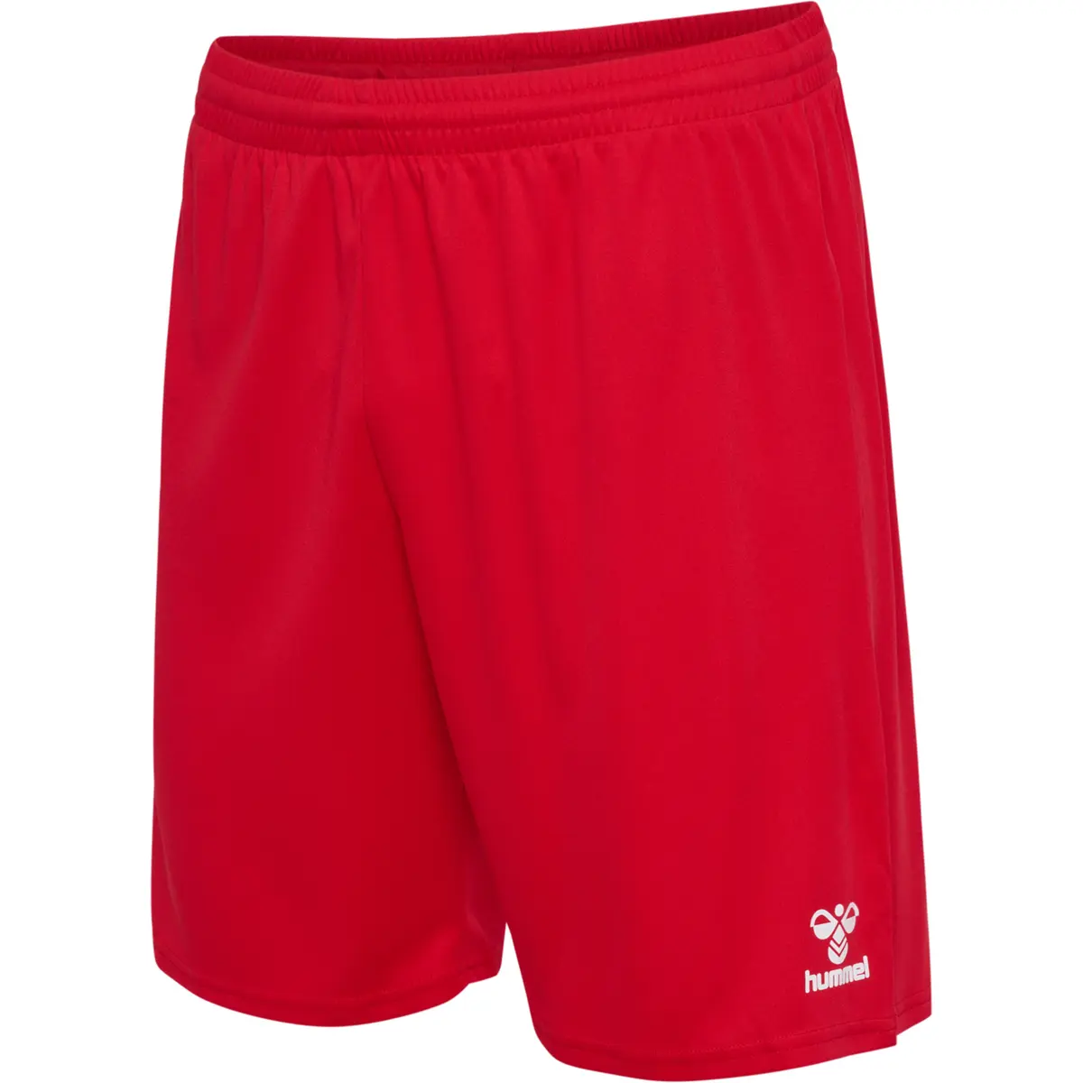 handball-store1-4696223