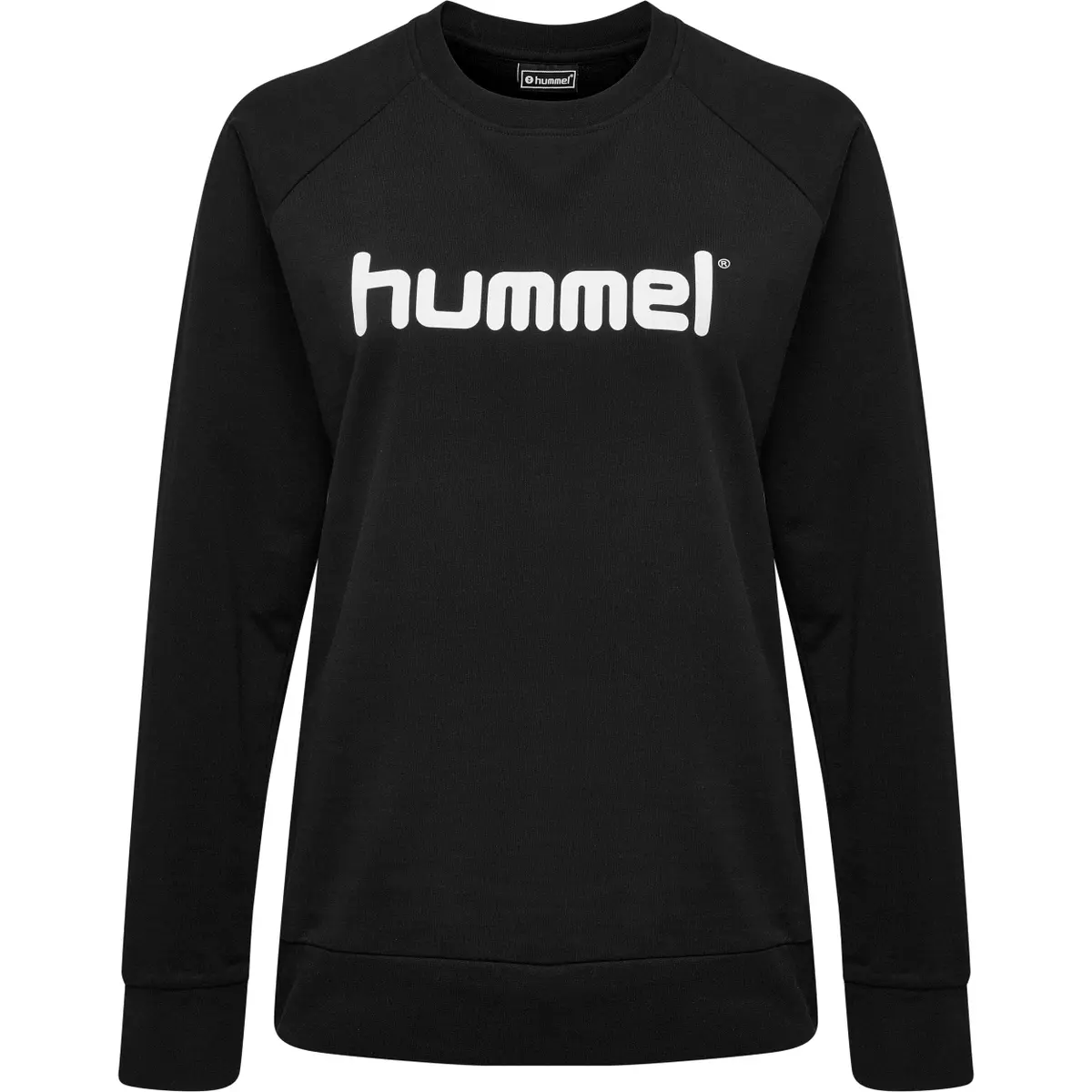 handball-store1-4698065