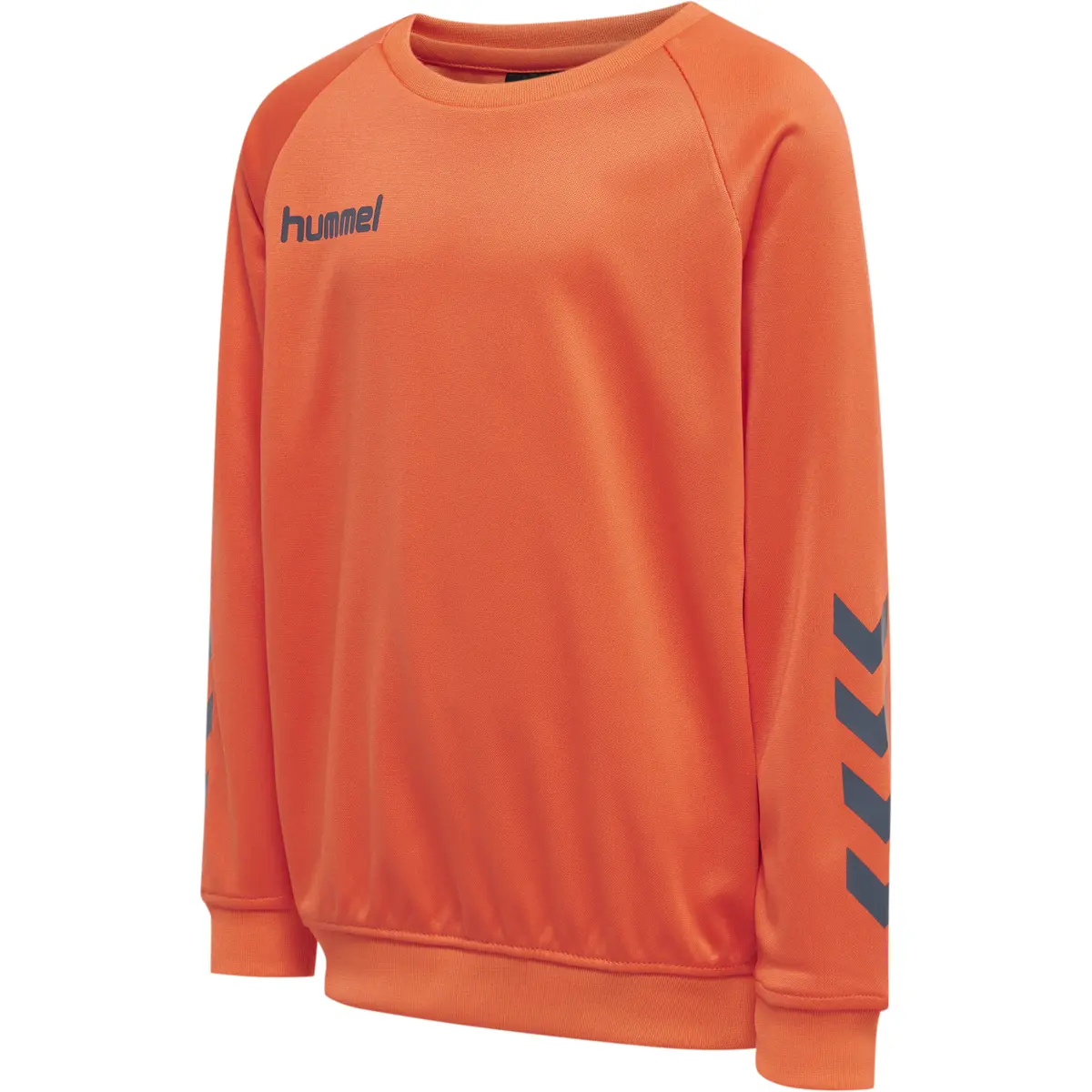 handball-store1-4699642