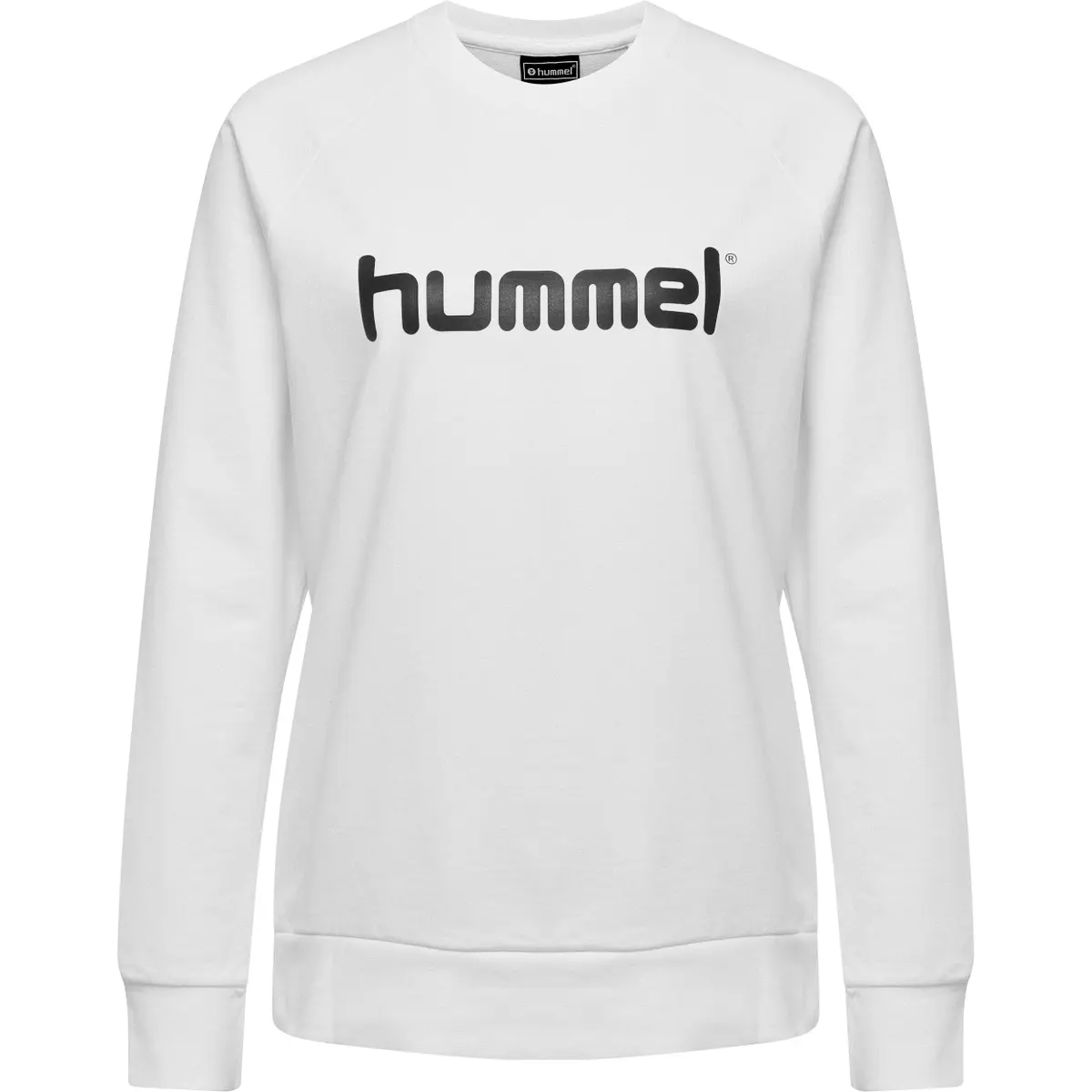 handball-store1-4700058
