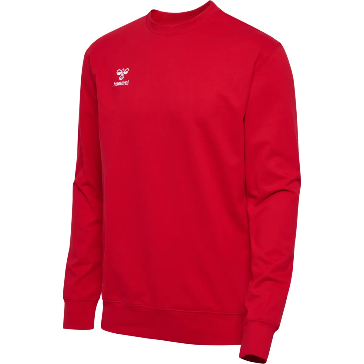 handball-store1-4705189