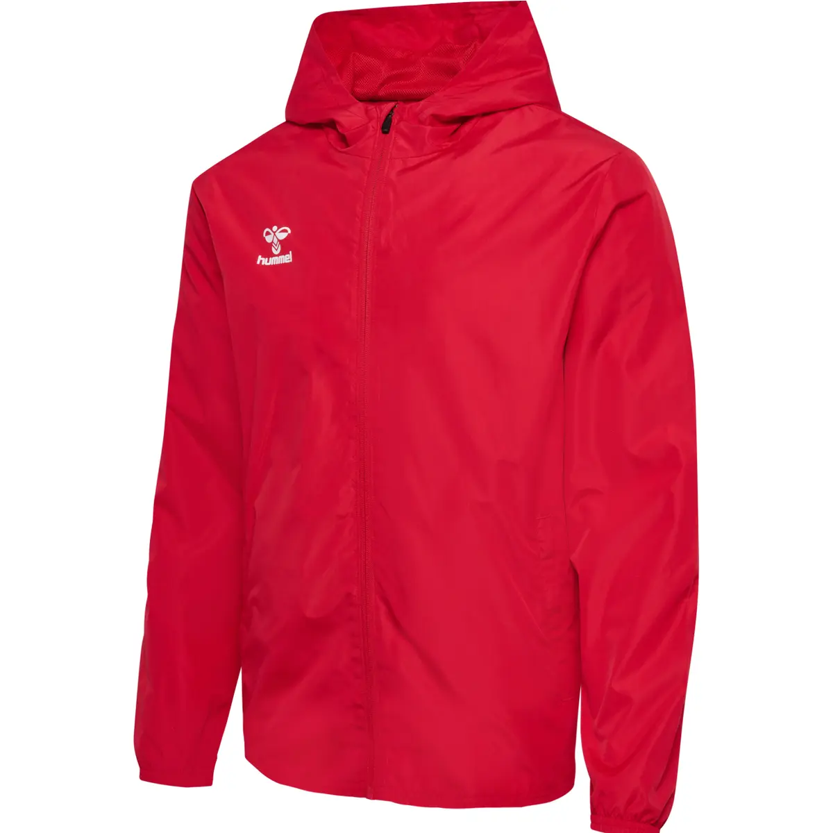 handball-store1-4706849