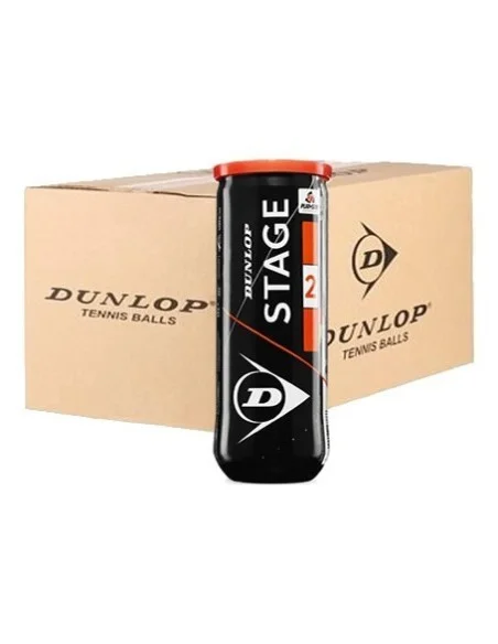 tennispro-4604688
