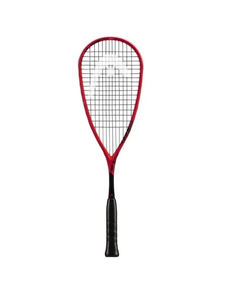 tennispro-4609829