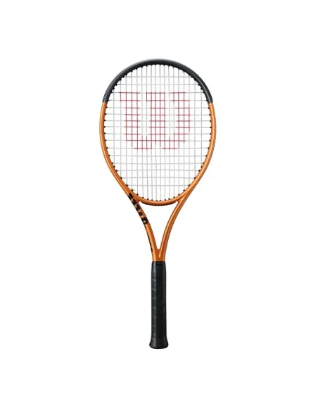 tennispro-4616587